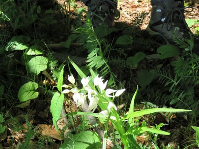 Boucle des Viaux, IMG_9853
