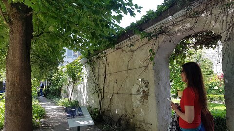 Jardins du musée de Montmartre et vigne, 20230528_112848