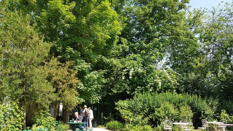 Jardins du musée de Montmartre et vigne, 20230528_113420