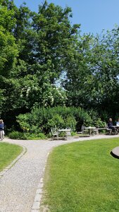 Jardins du musée de Montmartre et vigne, 20230528_114116