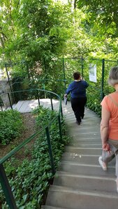 Jardins du musée de Montmartre et vigne, 20230528_114443