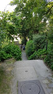 Jardins du musée de Montmartre et vigne, 20230528_114532