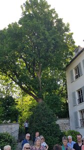 Jardins du musée de Montmartre et vigne, 20230528_114612