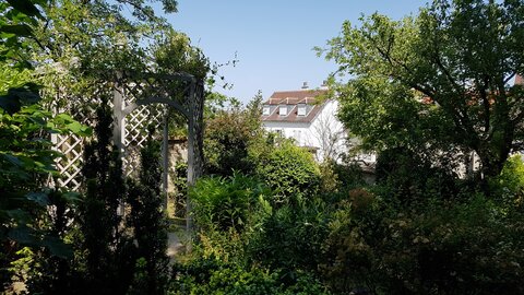 Jardins du musée de Montmartre et vigne, 20230528_120010