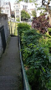 Jardins du musée de Montmartre et vigne, 20230528_120102