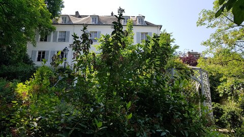 Jardins du musée de Montmartre et vigne, 20230528_120117