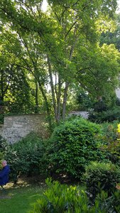Jardins du musée de Montmartre et vigne, 20230528_120126