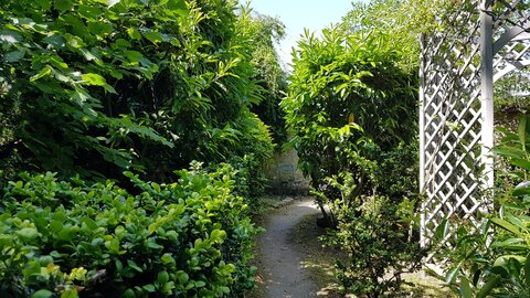 Jardins du musée de Montmartre et vigne, 20230528_121000
