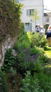 Jardins du musée de Montmartre et vigne, 20230528_121144