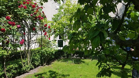 Jardins du musée de Montmartre et vigne, 20230528_122217