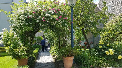 Jardins du musée de Montmartre et vigne, 20230528_122526
