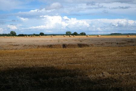 jeanPhilippePoulain, Roussigny