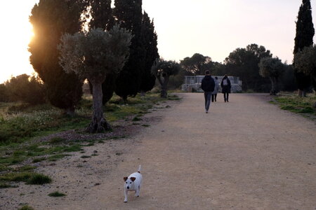 jeanPhilippePoulain, sete