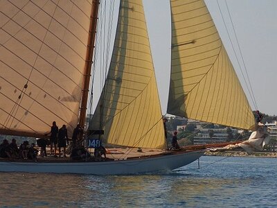 LES VOILES D ANTIBES, 0208
