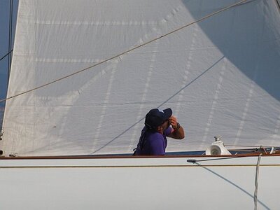 LES VOILES D ANTIBES, 0216