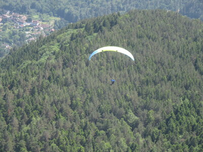 Alten 3 juin, IMG_6502