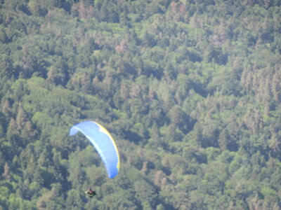 Alten 3 juin, IMG_6493