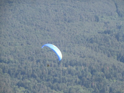 Alten 3 juin, IMG_6472