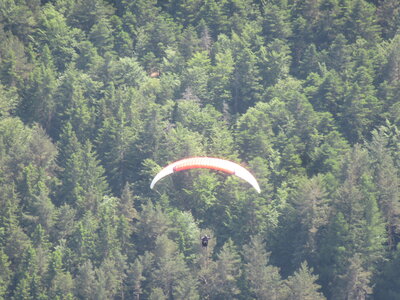 Alten 3 juin, IMG_6468