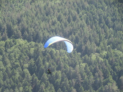 Alten 3 juin, IMG_6464