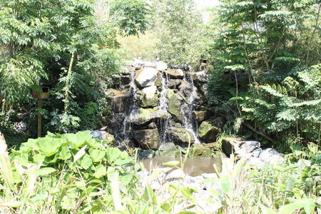 2023-06-01 - Parc animalier à Villars-les-Dombes, Ain - Parc des Oiseaux, MS - 01-06-2023 13-37-21 5184x3456