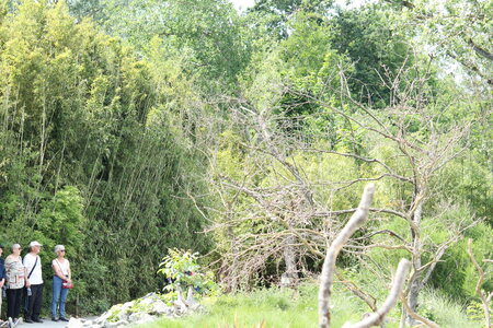 2023-06-01 - Parc animalier à Villars-les-Dombes, Ain - Parc des Oiseaux, MS - 01-06-2023 14-41-43 5184x3456