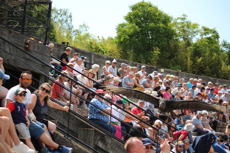 2023-06-01 - Parc animalier à Villars-les-Dombes, Ain - Parc des Oiseaux, MS - 01-06-2023 14-43-57 5184x3456