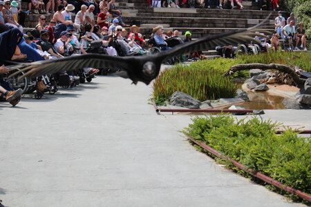 2023-06-01 - Parc animalier à Villars-les-Dombes, Ain - Parc des Oiseaux, MS - 01-06-2023 14-44-07 5184x3456