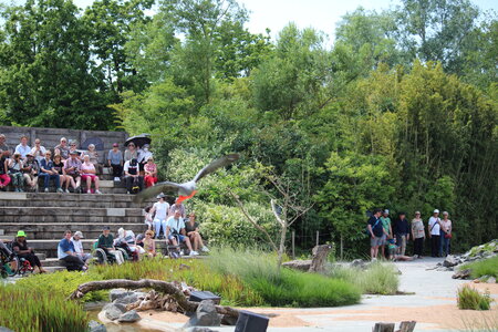 2023-06-01 - Parc animalier à Villars-les-Dombes, Ain - Parc des Oiseaux, MS - 01-06-2023 14-53-37 5184x3456