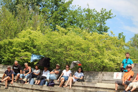 2023-06-01 - Parc animalier à Villars-les-Dombes, Ain - Parc des Oiseaux, MS - 01-06-2023 14-55-10 5184x3456