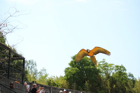2023-06-01 - Parc animalier à Villars-les-Dombes, Ain - Parc des Oiseaux, MS - 01-06-2023 14-58-40 5184x3456