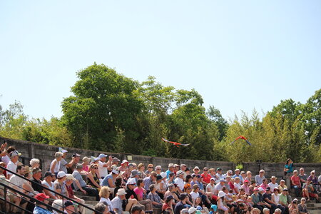 2023-06-01 - Parc animalier à Villars-les-Dombes, Ain - Parc des Oiseaux, MS - 01-06-2023 14-59-00 5184x3456
