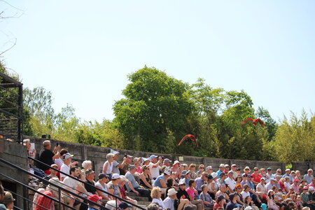 2023-06-01 - Parc animalier à Villars-les-Dombes, Ain - Parc des Oiseaux, MS - 01-06-2023 14-59-001