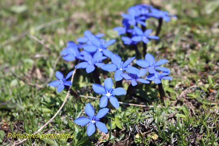 Sommet de Rochegrand, IMG_5870