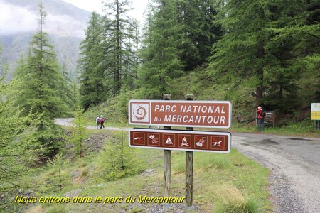 Lac d'Allos, IMG_5891