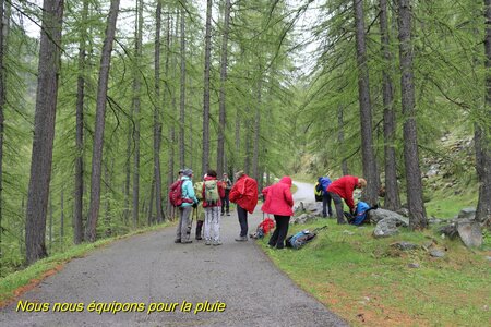 Lac d'Allos, IMG_5893