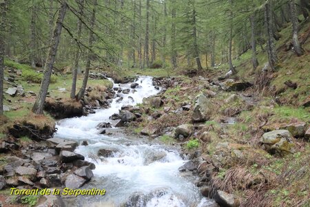 Lac d'Allos, IMG_5895