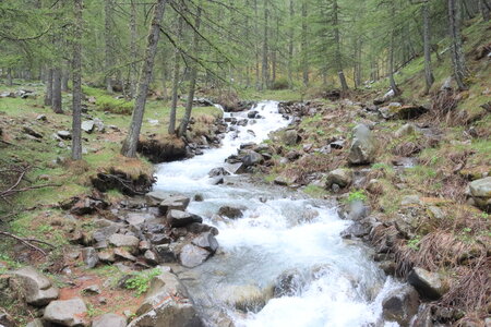 Lac d'Allos, IMG_5896