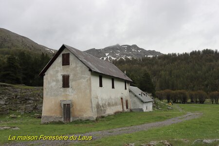 Lac d'Allos, IMG_5900