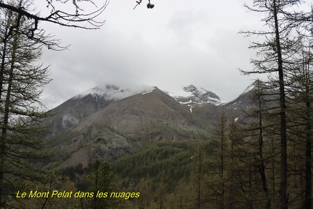 Lac d'Allos, IMG_5902