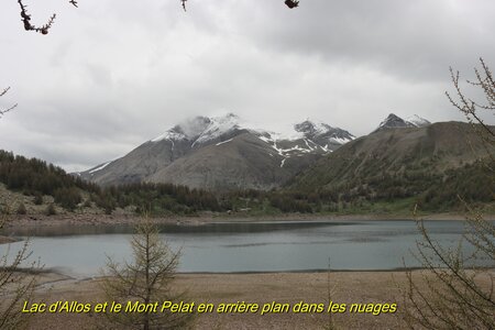 Lac d'Allos, IMG_5920