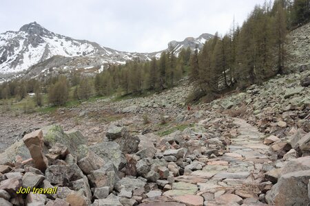 Lac d'Allos, IMG_5922