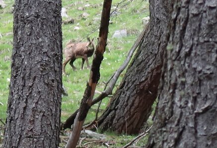 Lac d'Allos, IMG_5933