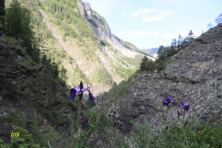 Les Gorges de St Pierre, IMG_5971