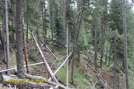 Les Gorges de St Pierre, IMG_6012