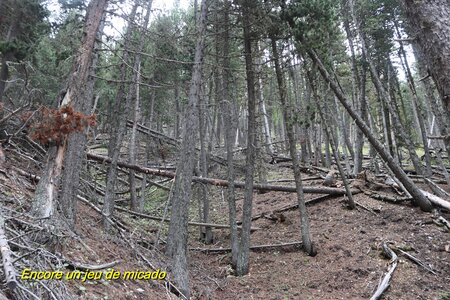 Les Gorges de St Pierre, IMG_6014