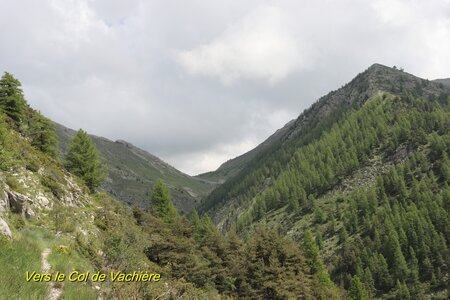 La Cabane de Boules, IMG_6053