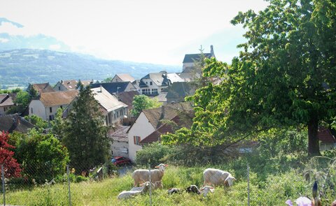 St Laurent du Crot. Boucle st Laurent les Sagnes de la Canne  06062023, DSC_0006