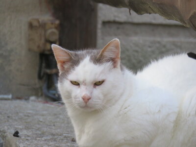 Colmars J 3, IMG_9872