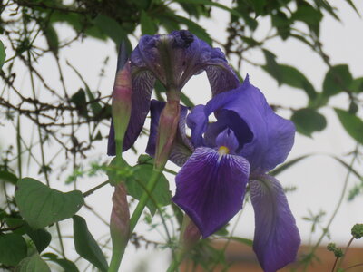 Colmars J 3, IMG_9932